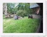 Dierentuin Burgers  Zoo 098 * 3648 x 2736 * (6.44MB)